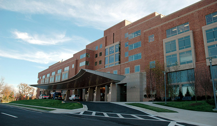 Woman gives birth after 19 miscarriages